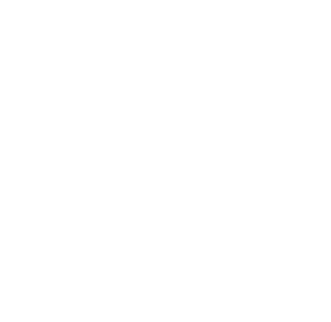 Plangrad Logo